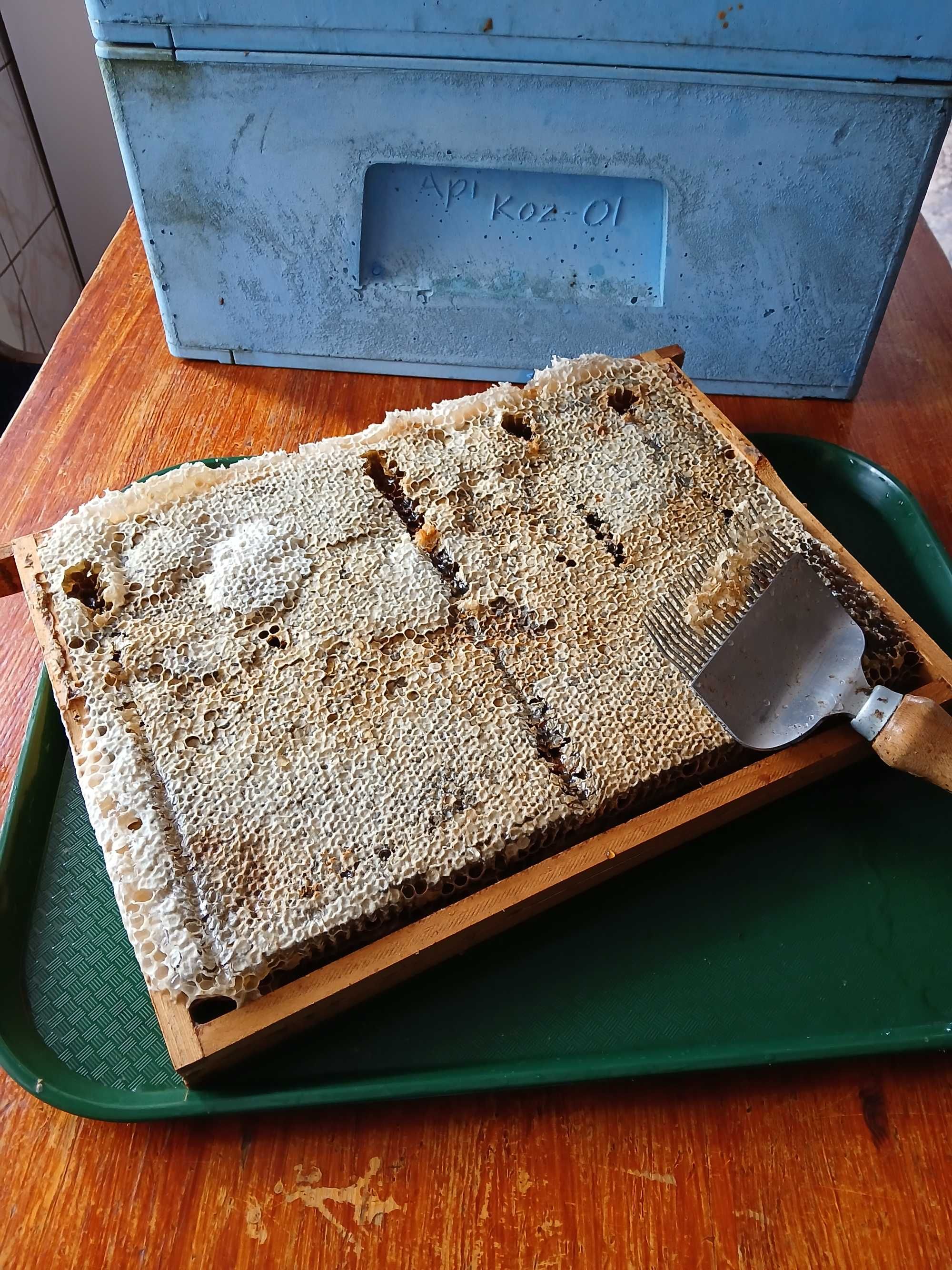 Miód naturalny z własnej pasieki, pyłek pszczeli, kit,