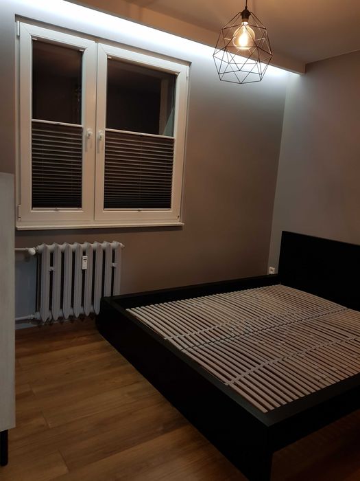 Piękne mieszkanie o powierzchni 34m2 do wynajęcia