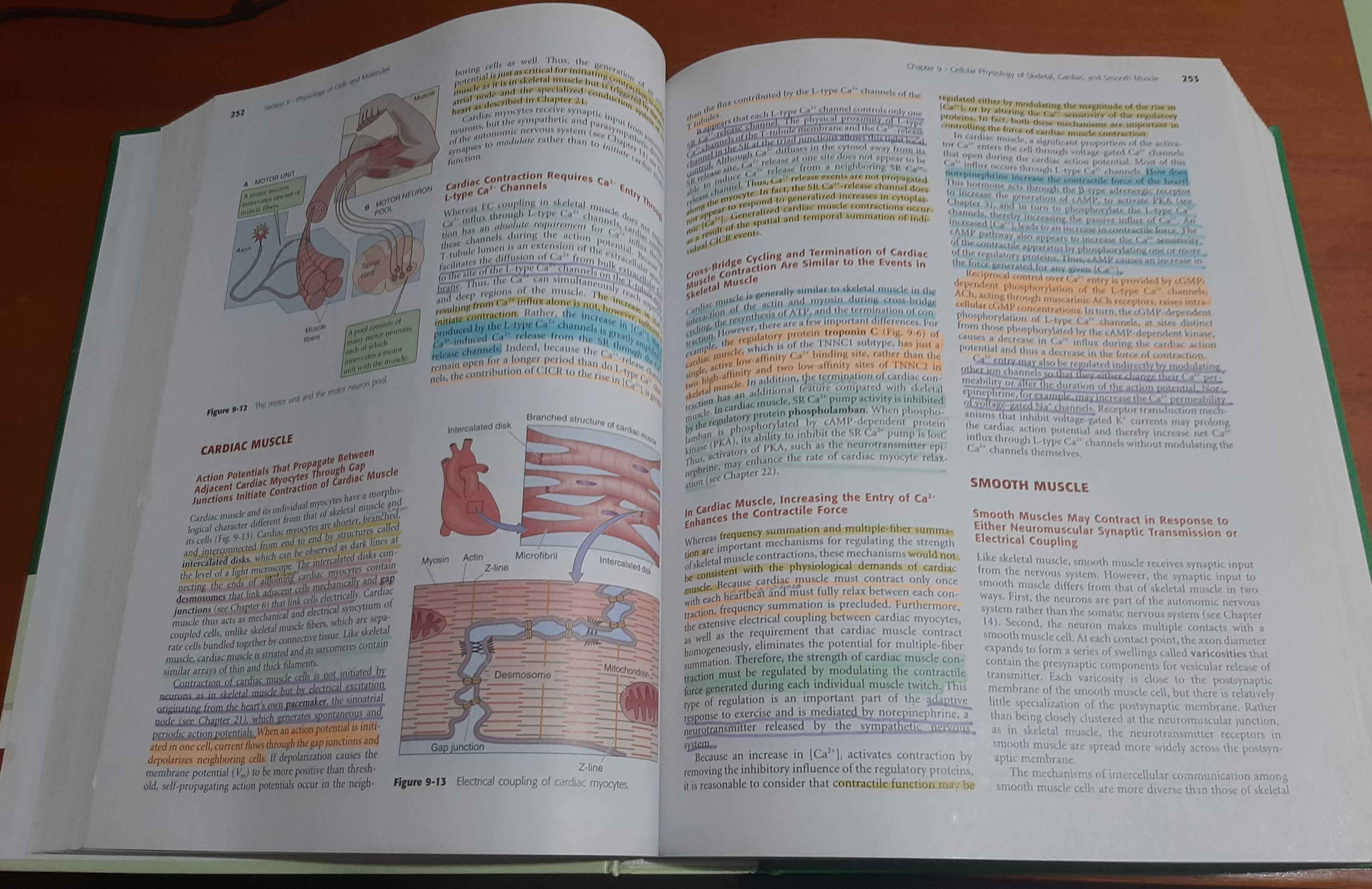 Livro Medical Physiology - 2ª edição