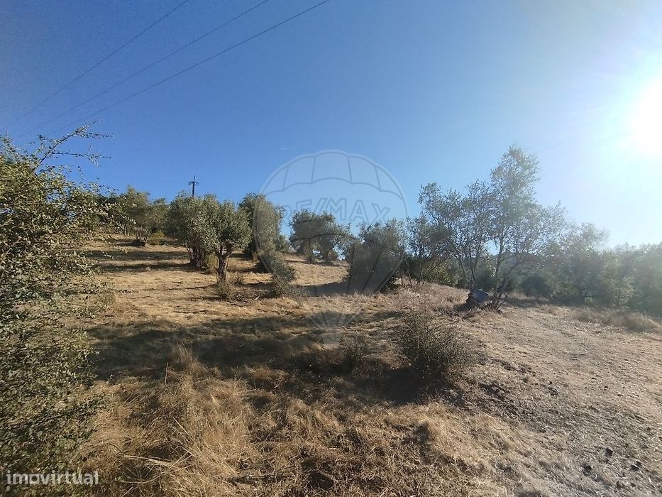 Terreno  para venda