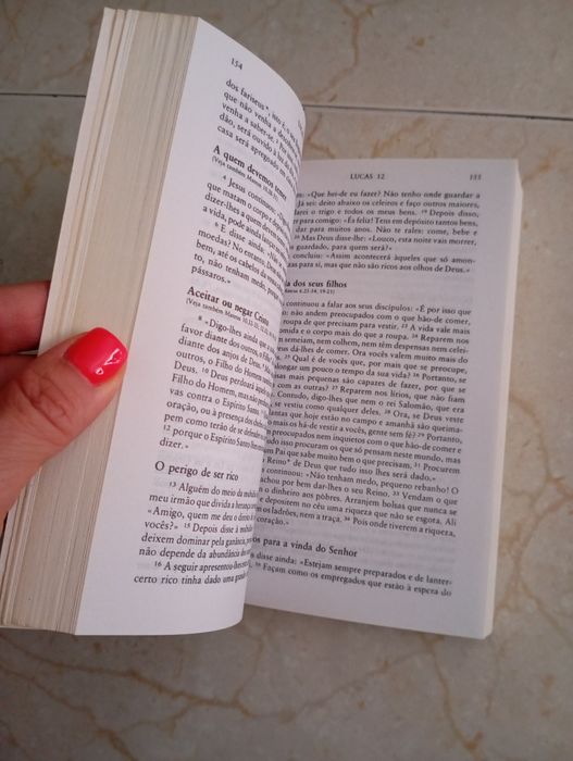 Novo Testamento Original