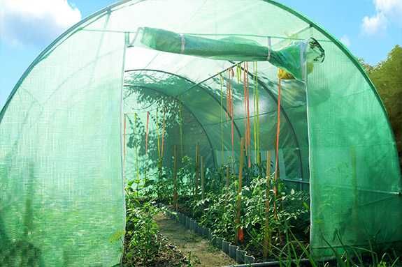Folia Zamienna na TUNEL FOLIOWY 2x3m
