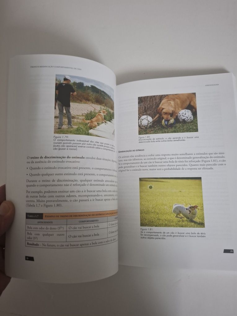 Treino e Modificação Comportamental de Cães