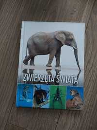 Zwierzęta świata