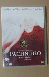 Pachnidło. Historia mordercy dvd