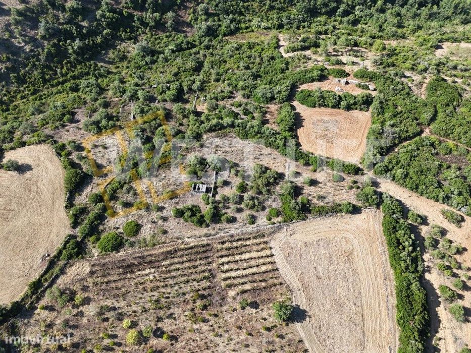 Terreno Rústico com finalidade agrícola, pecuária ou florestal - Bo...