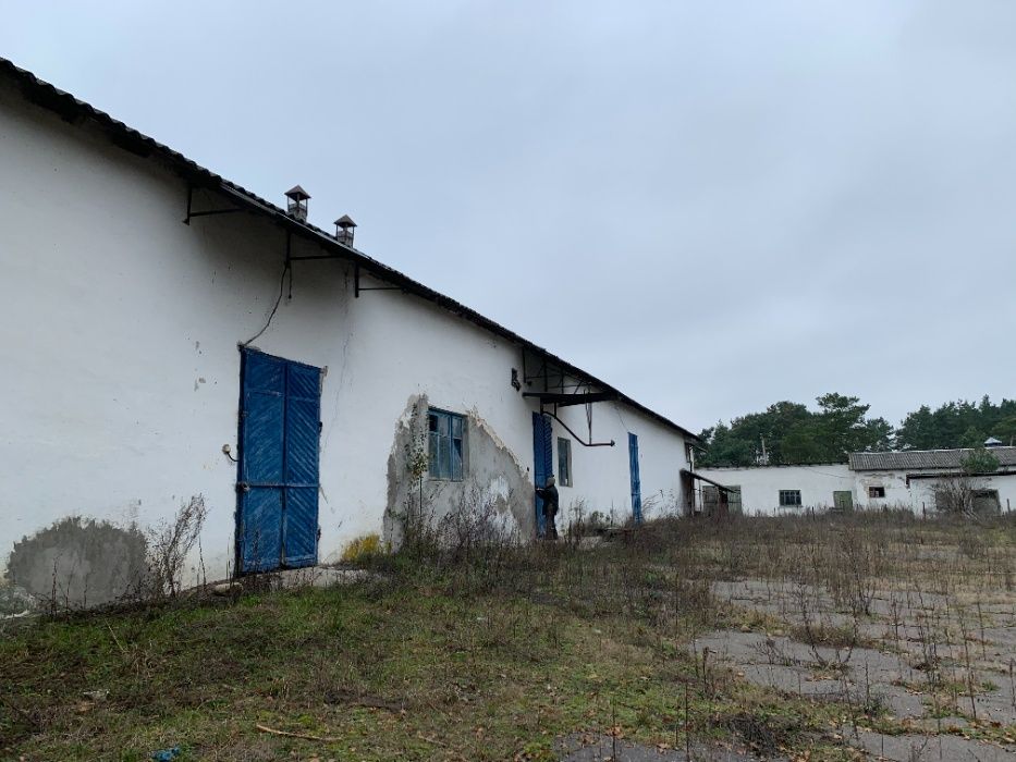 Продаж, оренда майнового комплексу ферми, забійного цеху та заморозки