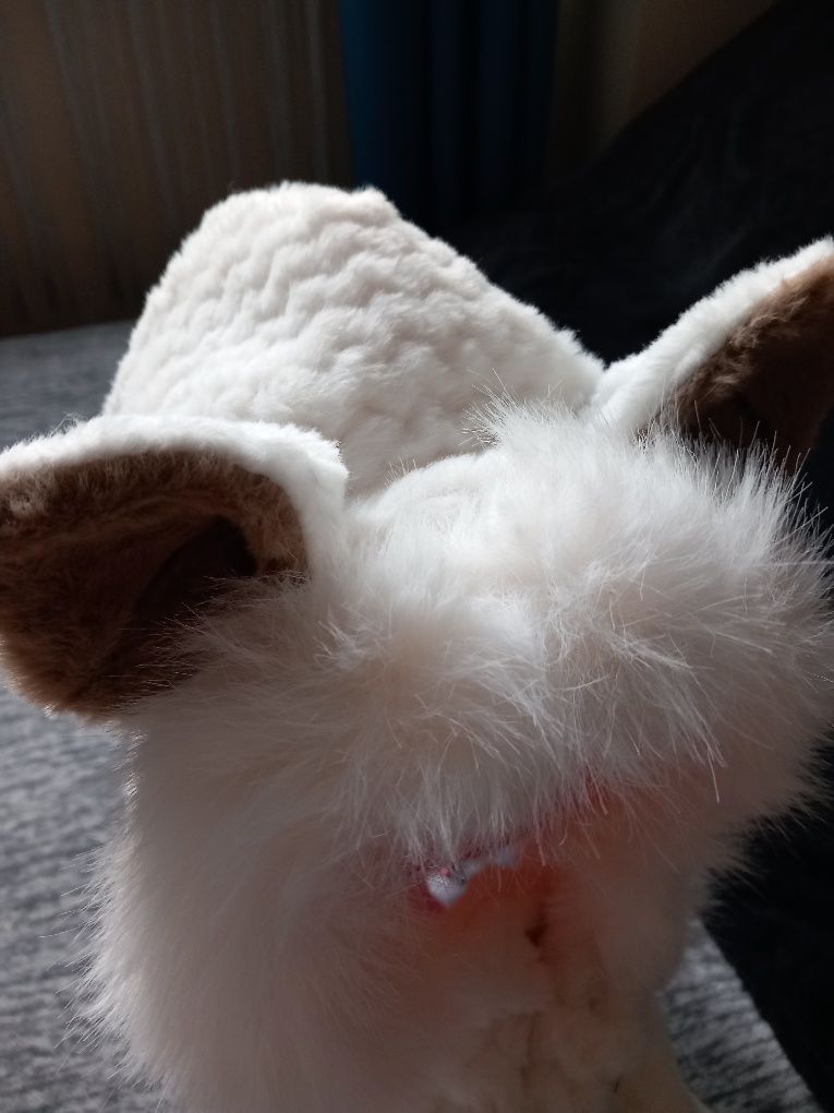Czapka pluszowa z uszkami