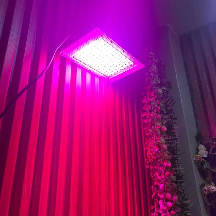 Мощная садовая Фитолампа полного спектра 300 Вт LED Grow для растений