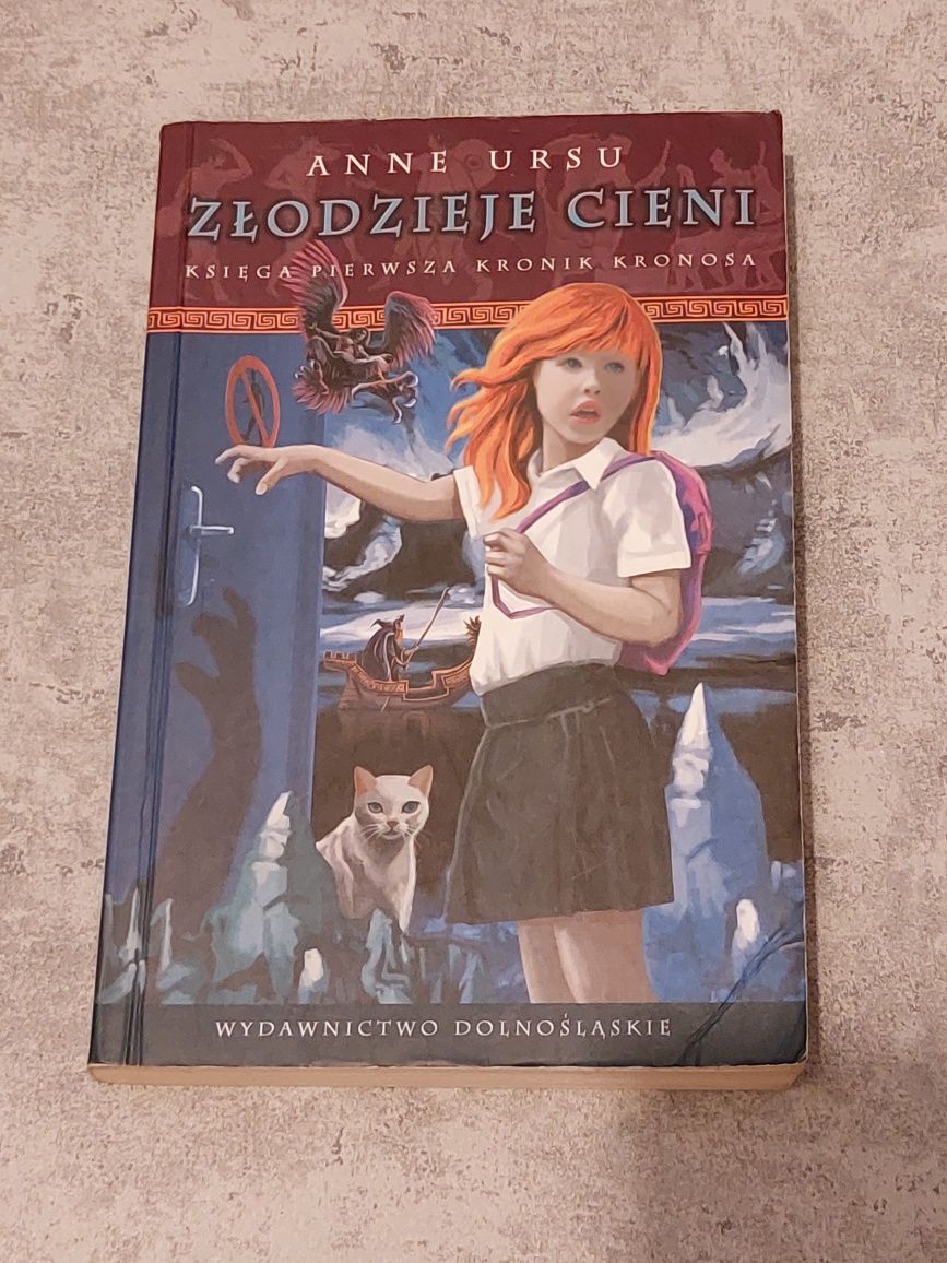 Książka Złodzieje Cieni; Anne Ursu fantasy mitologia dzieci młodzież