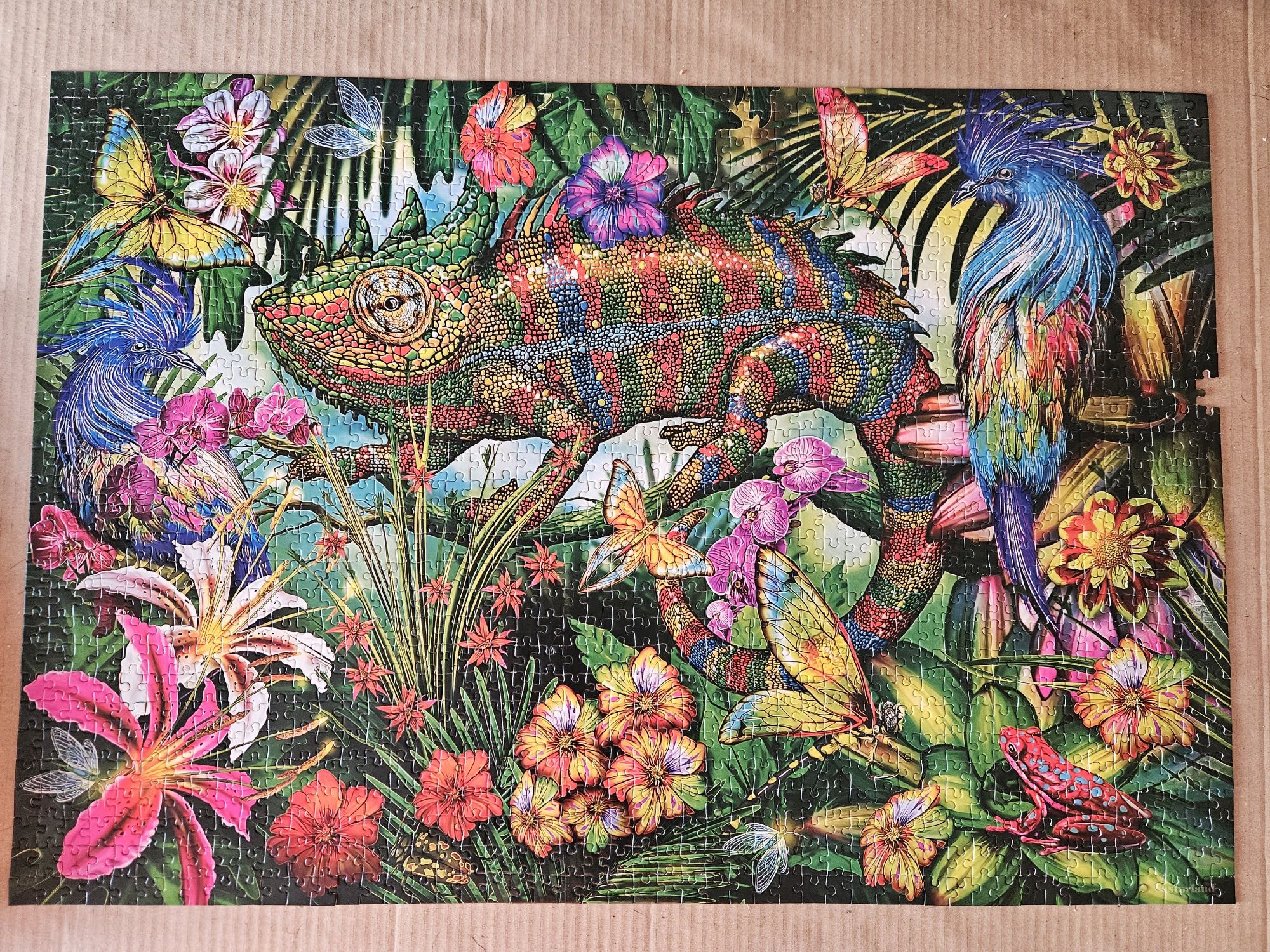Puzzle castorland 1500 elementów