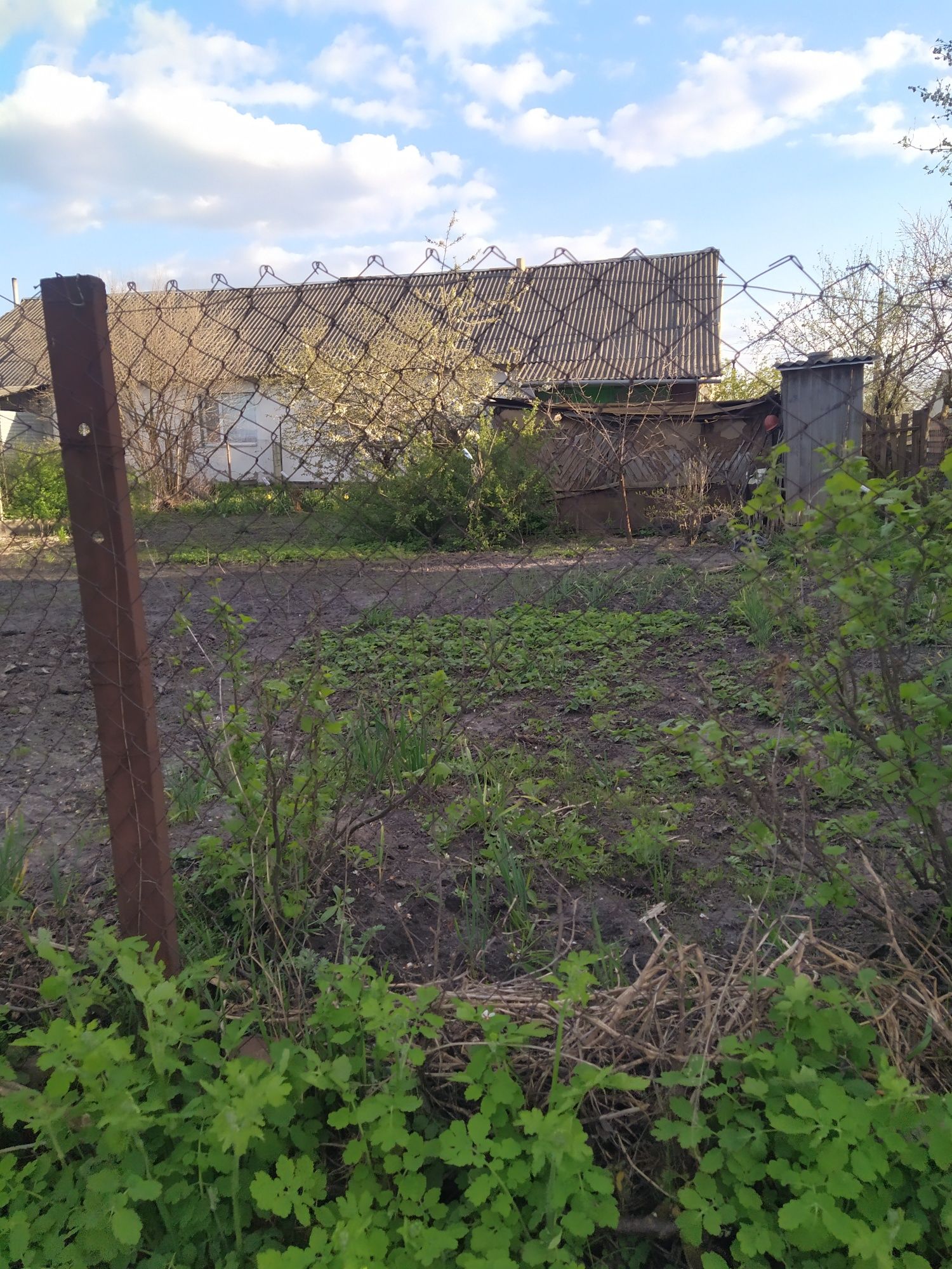 Продам будинок в с.Діброва
