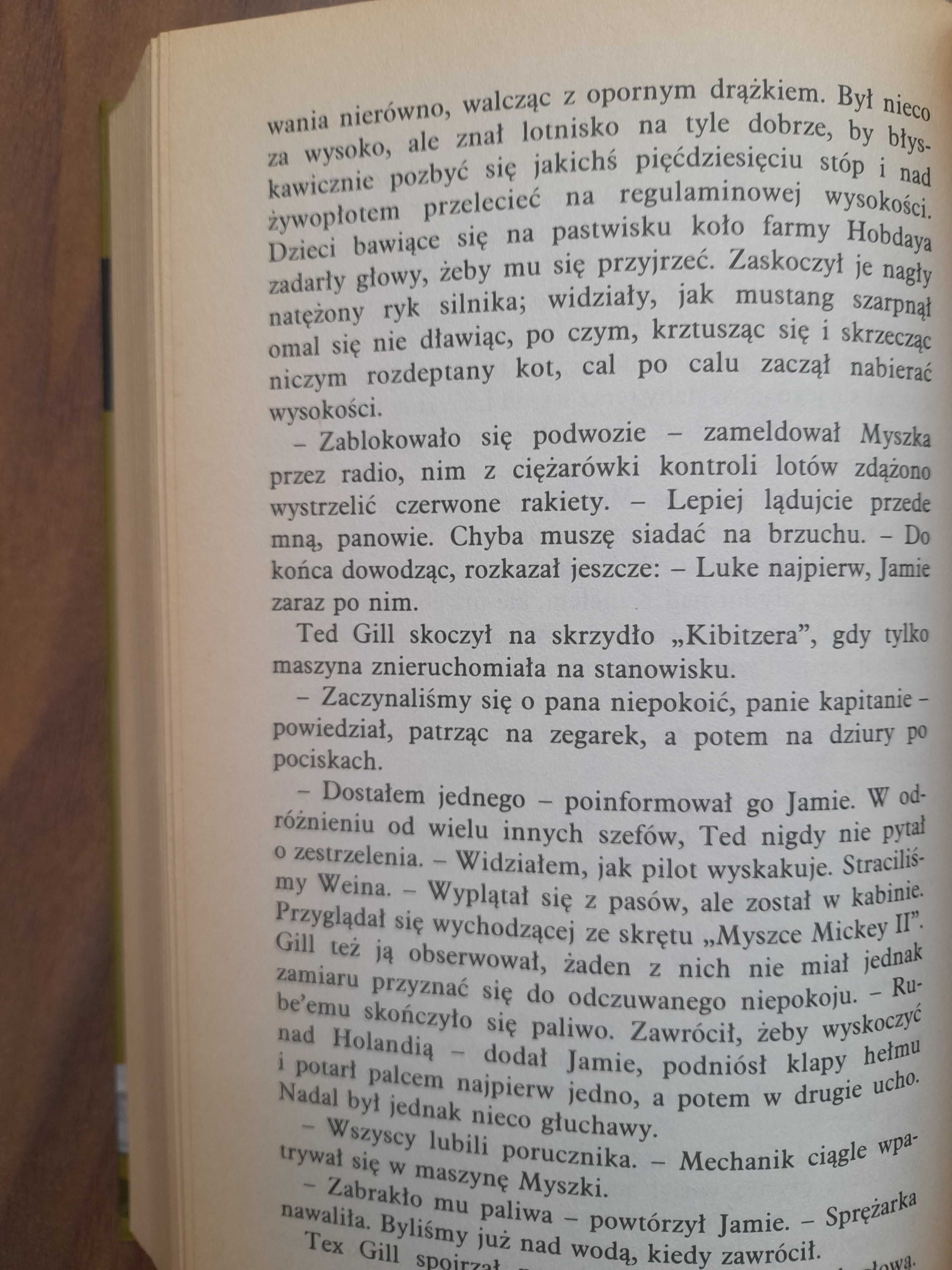 Żegnaj, Myszko Mickey Len Deighton