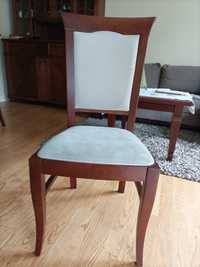 Krzesło krzesła do salonu