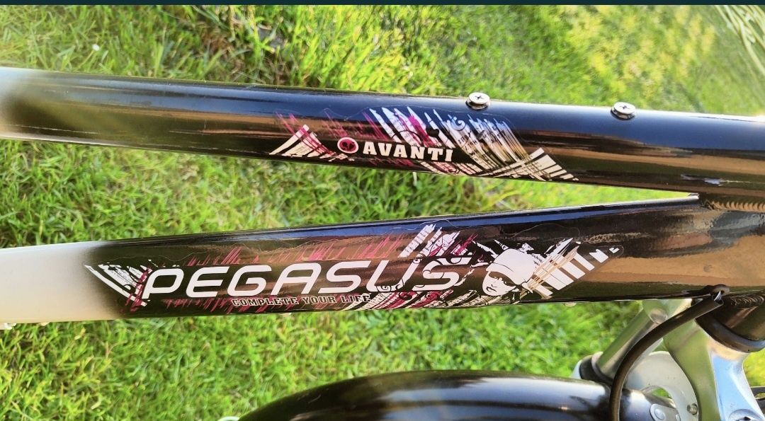 Pegasus 26'.. aluminiowy.. Możliwa wysyłka
