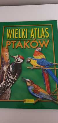 Wielki Atlas ptaków