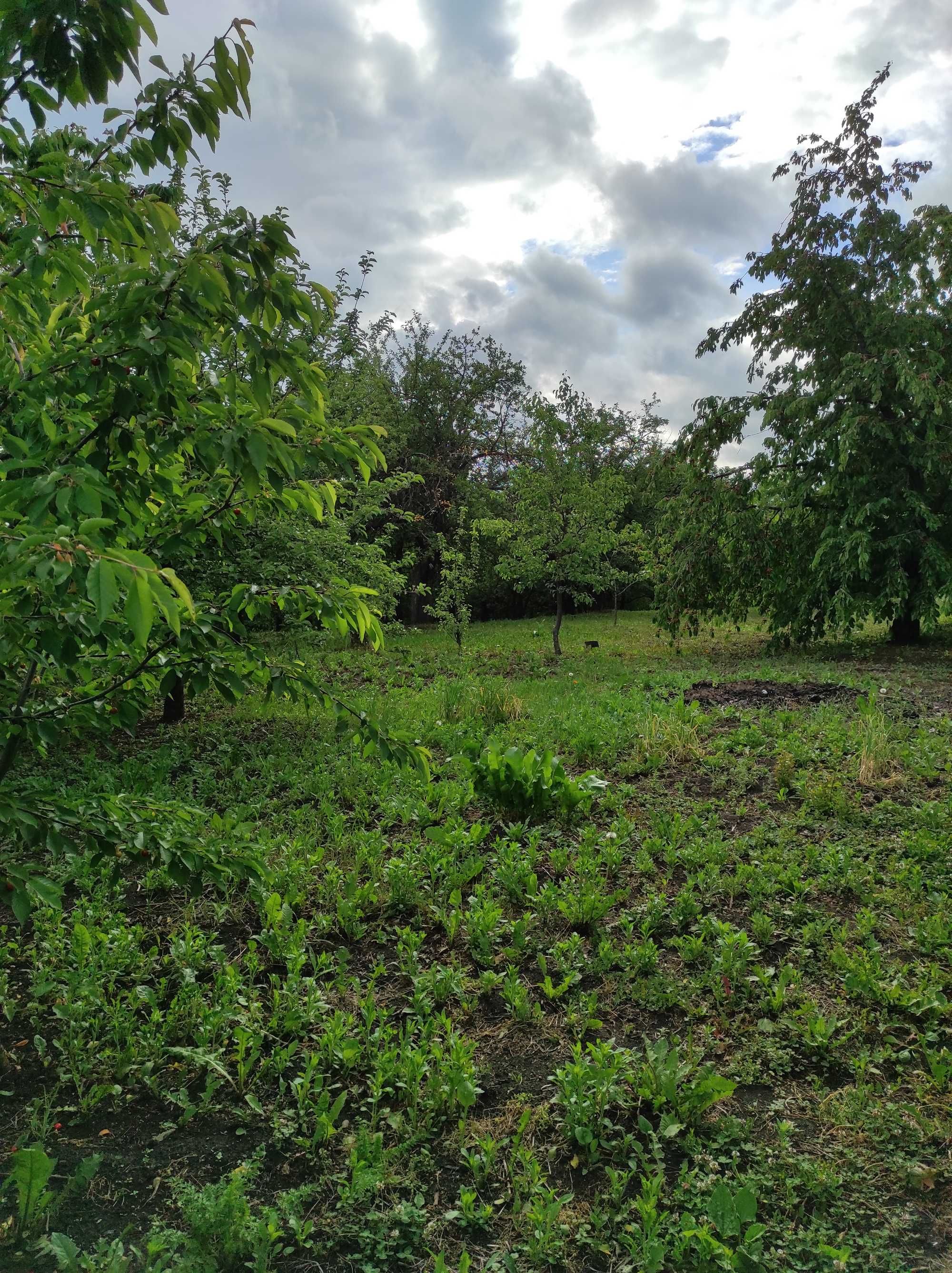 Продається господарство село Зарожани