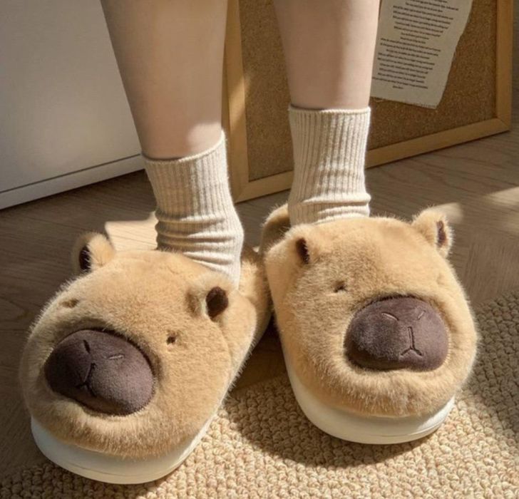 домашні капці Капібара Capybara