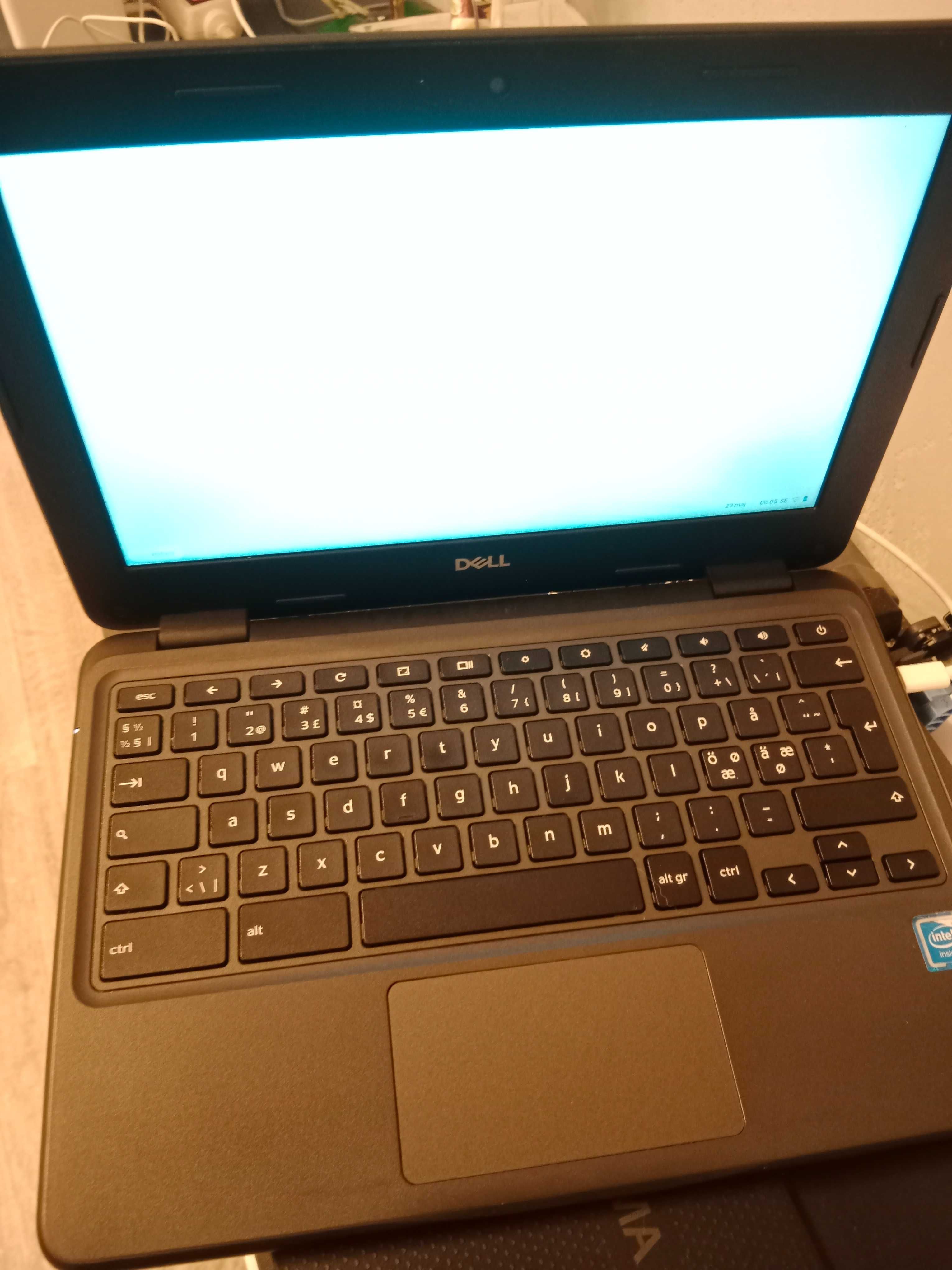 Chromebook dell 3100