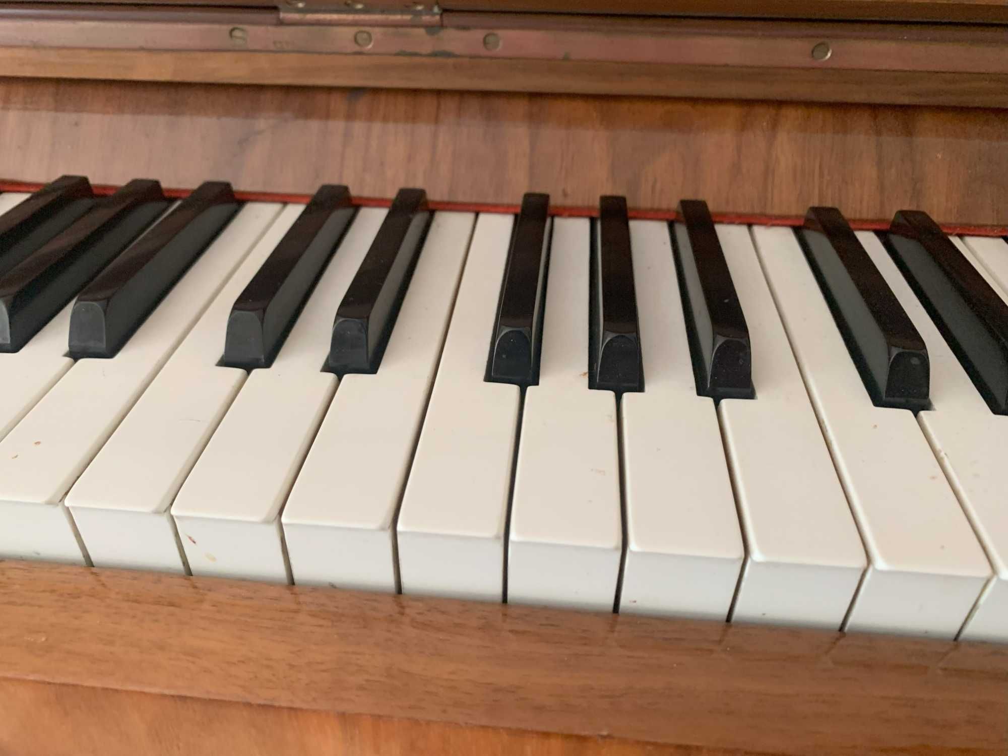 Pianino Calisia. Płyta metalowa. Początek lat 70-tych. Stan b. dobry