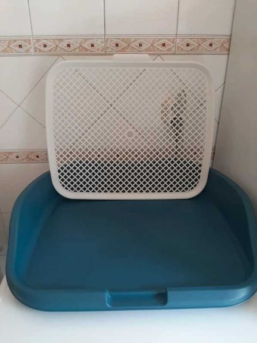 WC de  treinamento para cães