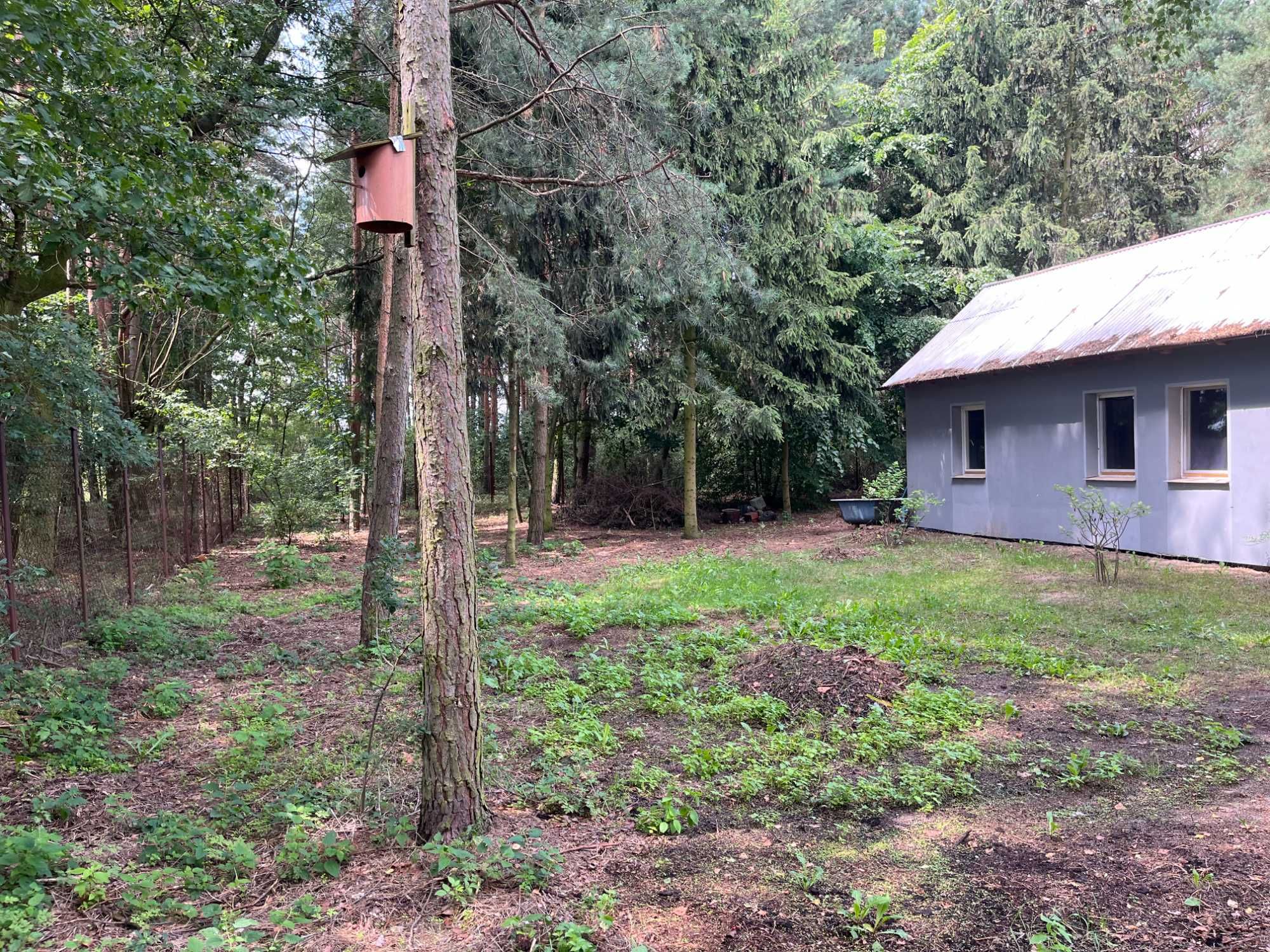 Dom z działką 20ar Lekaszyn świetna inwestycja pod airbnb booking slow
