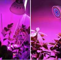 Led Grow Light E27