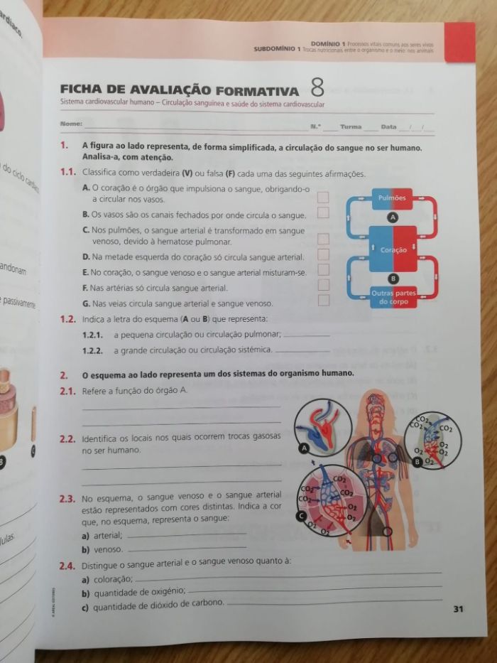 cad. atividades "Novo CSI" ciências naturais 6ºano