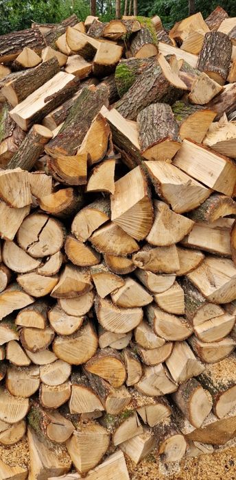 Drewno opalowe kominkowe