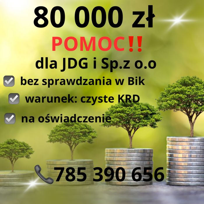 Pomoc dla JDG  i sp. zo.o