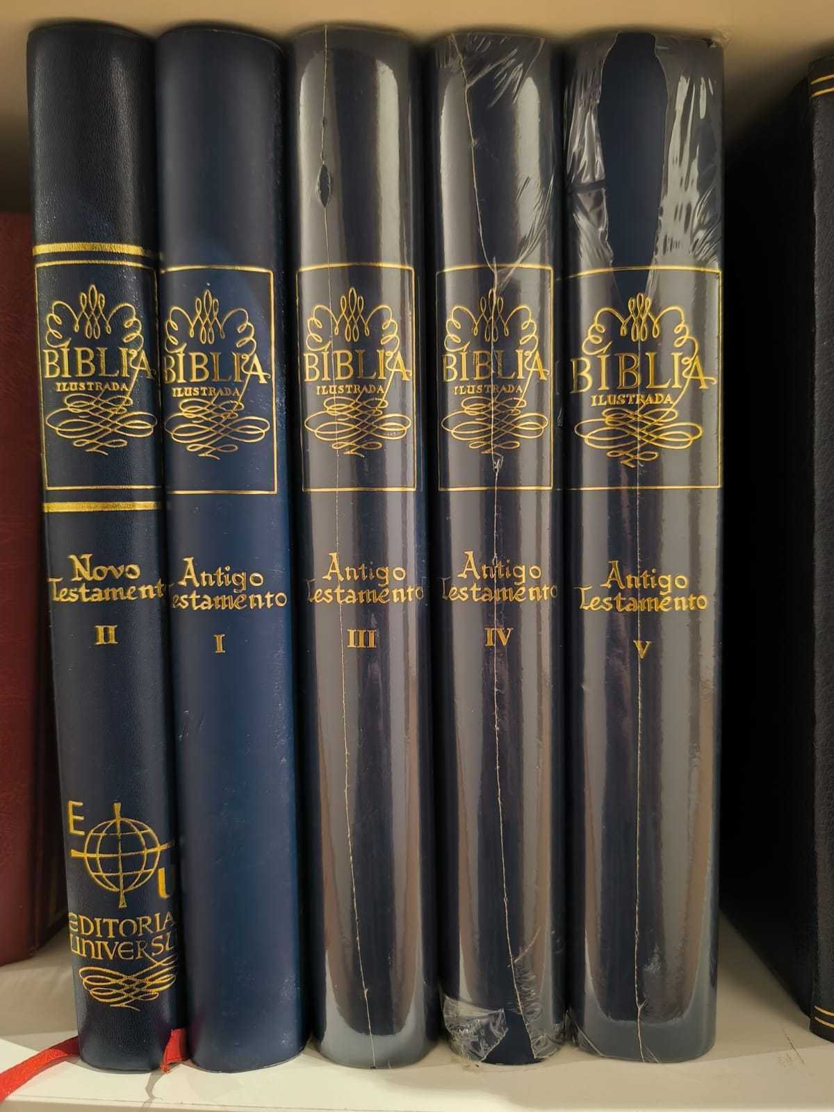 Bíblia Ilustrada 5 de 7 Volumes