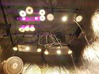 Led COB світильники BXRC- 30E10K0-B-73-SE.Драйвер MeanWell ELG 150 54А