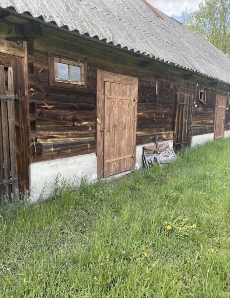 Oddam drzewo w zamian za rozbiórke