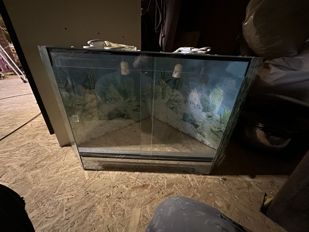 Terrarium winklowe