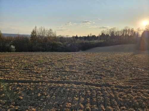 Działka ponad 60 arów - Bolechowice