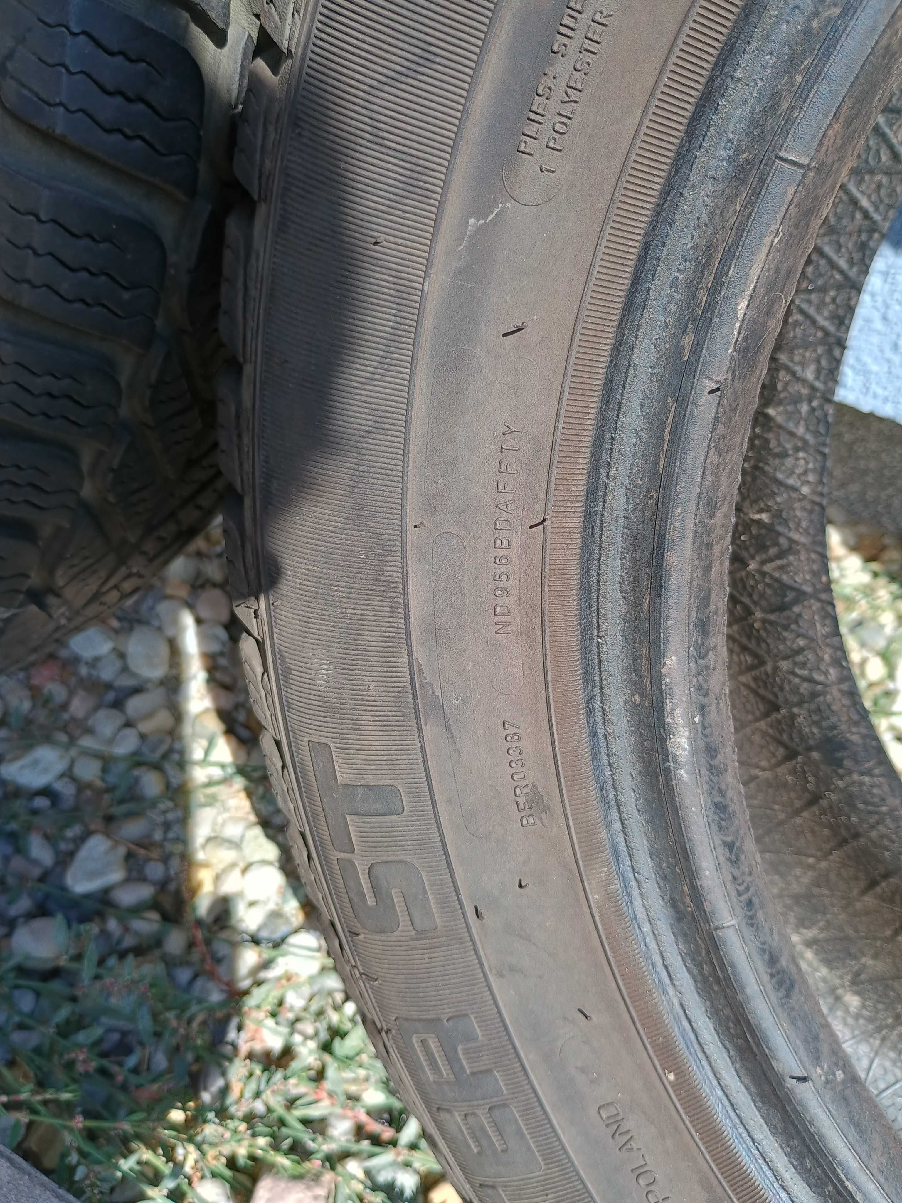 Opony zimowe Diplomat Winter ST 165/70 R14, DOT 2019 – 2 sztuki
