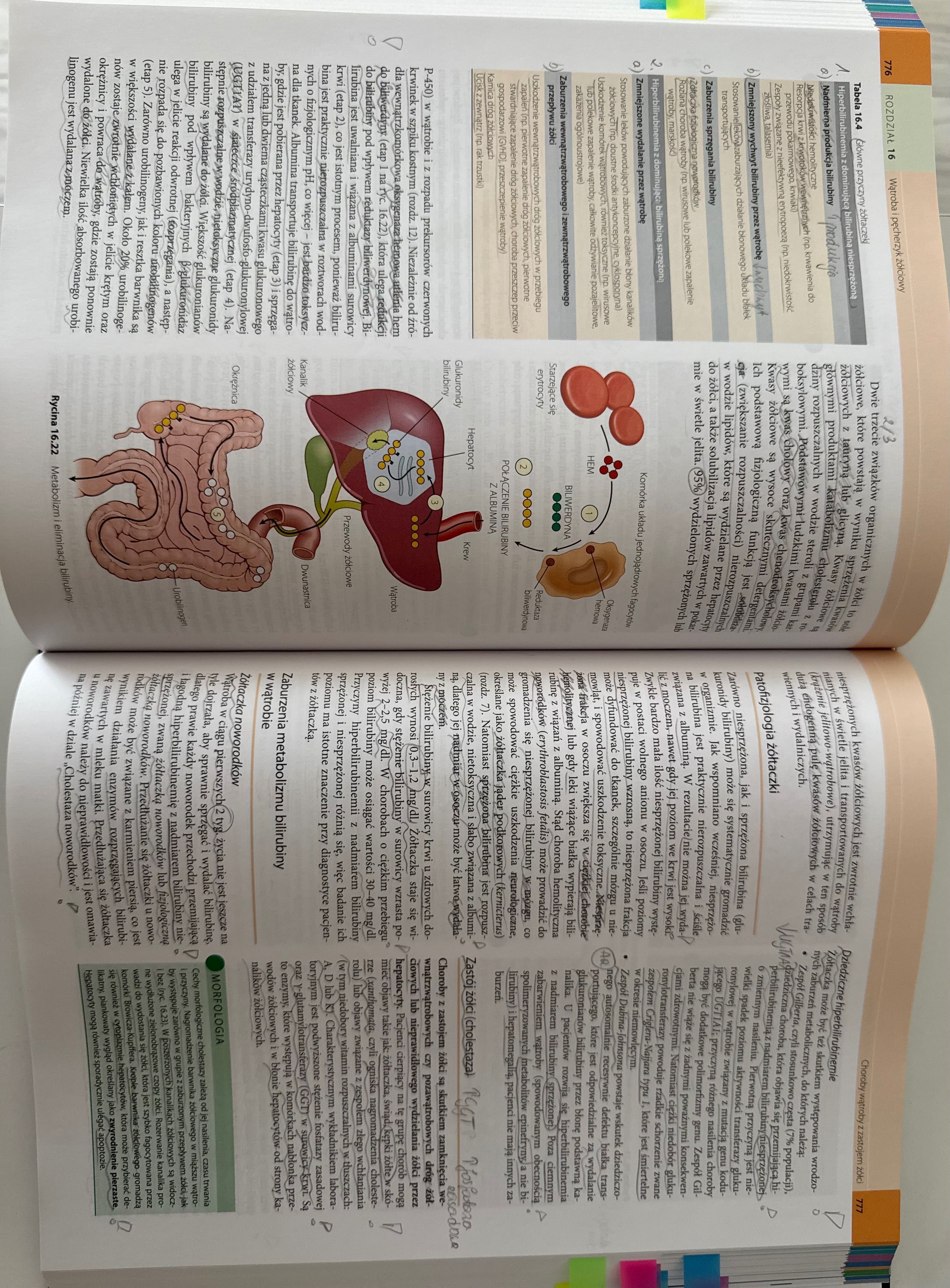 Robbins Patologia Podręcznik 2019