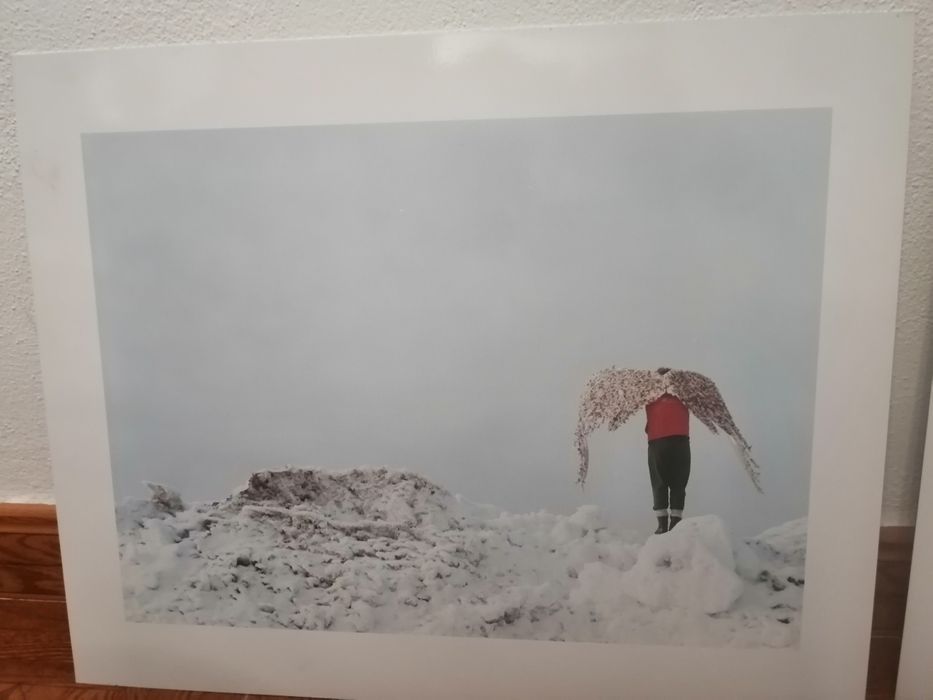 Fotografias Janne Lehtinen parte 1