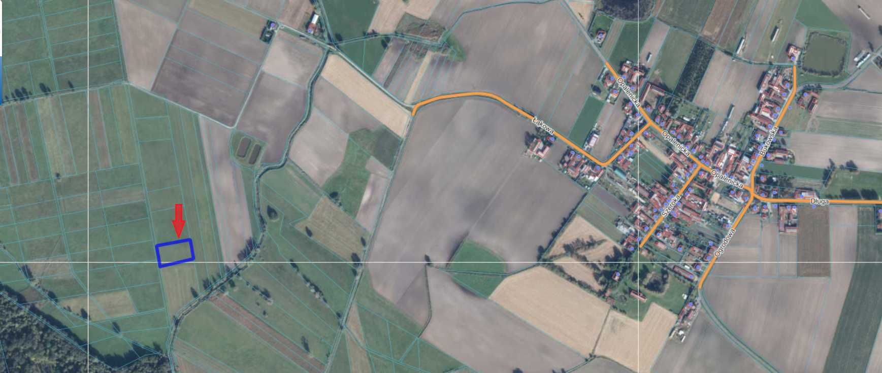 Łąka Uścięcice - 4 100 m2