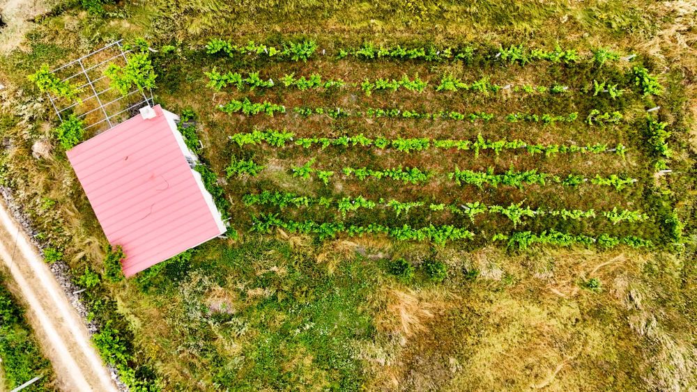 Terreno com 3.400 m2 para venda em Penamacor