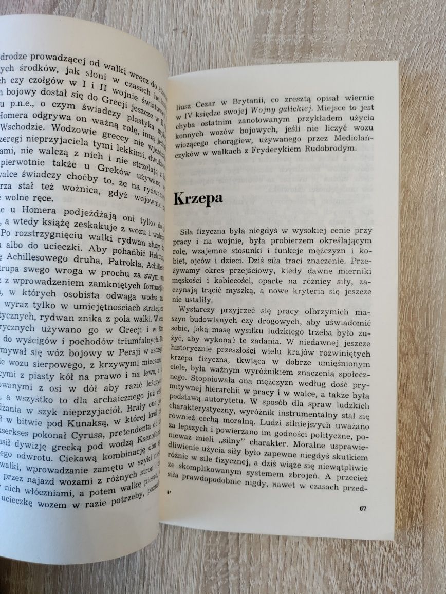 Trzeci kot w worku czyli rozmaitość świata 1982