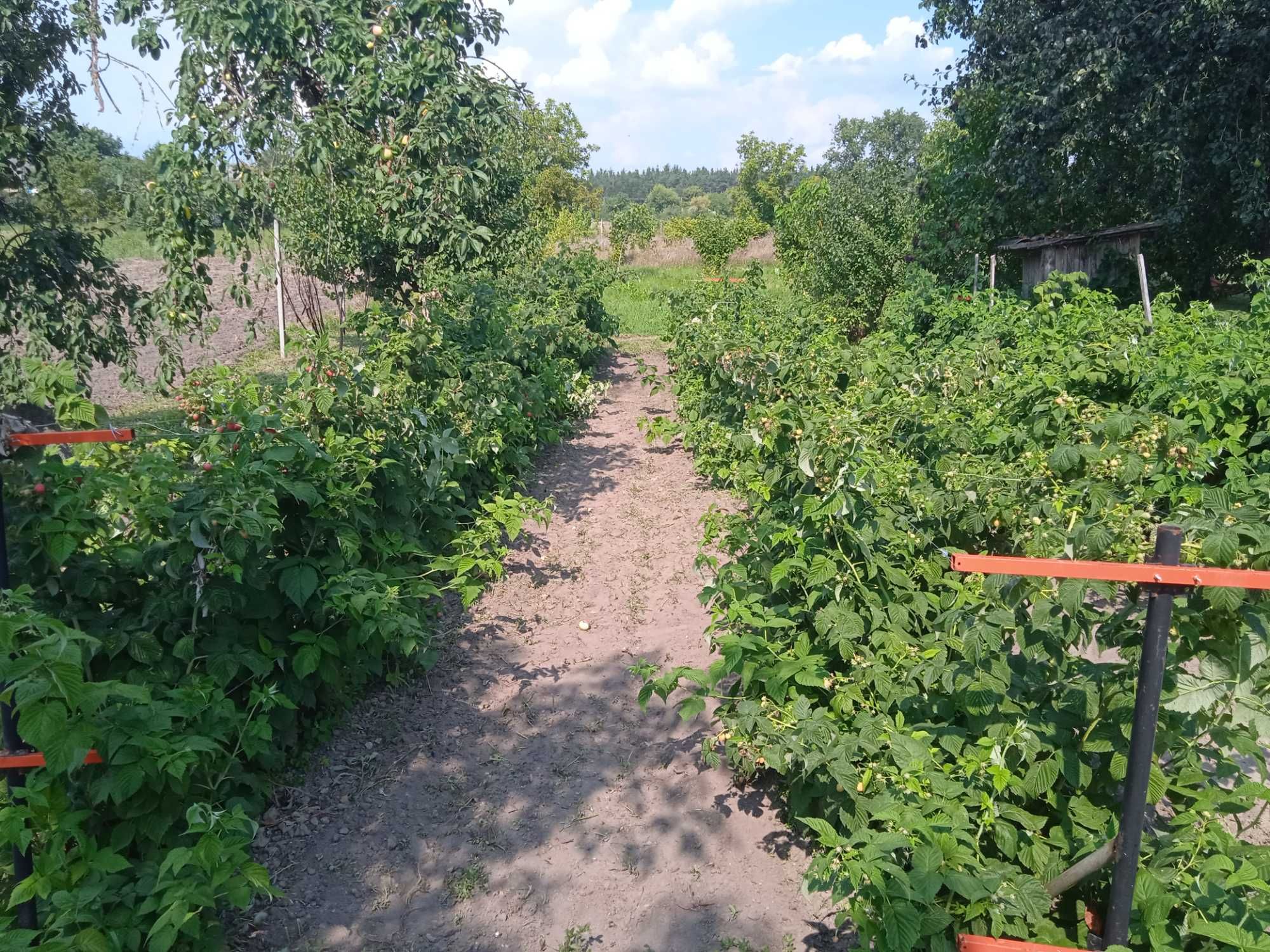 Будинок з дiлянкою 1 га в селі Тубільці, 35 км вiд Черкас.