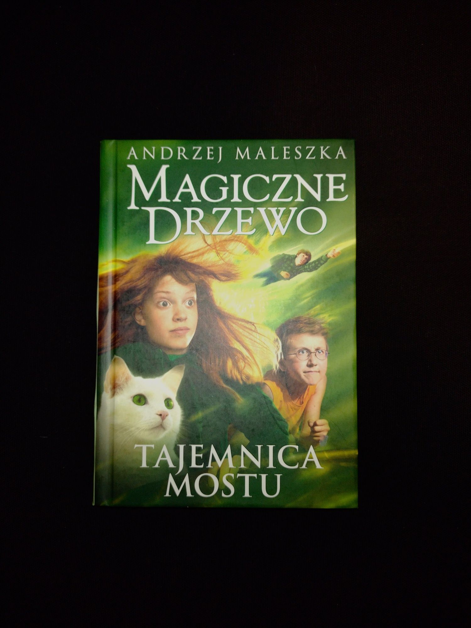 Magiczne Drzewo tajemnica mostu