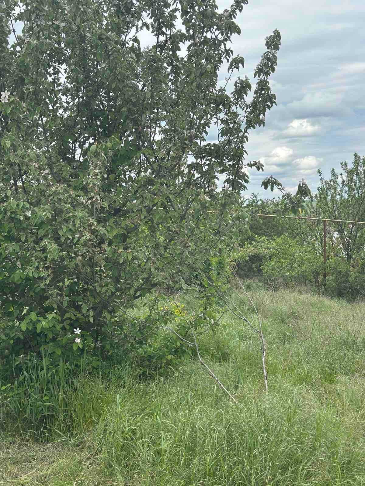 Продам  дом в с. Александровка ( Лиманский р-н)