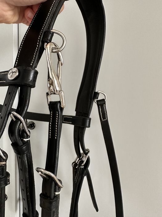 Ogłowie Dyon  Working