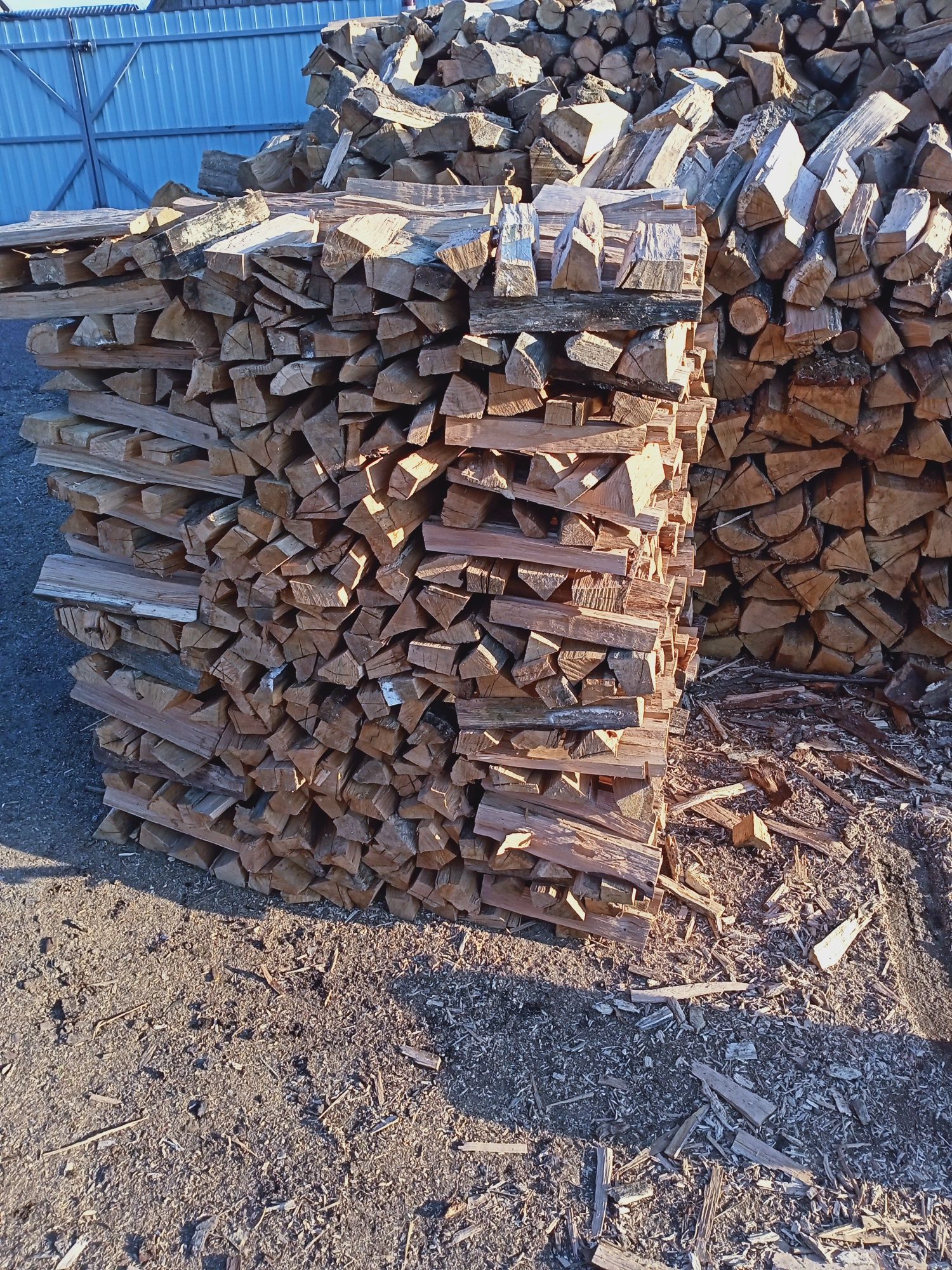 Продаж дров дуб,граб,ясен, береза, вільха.