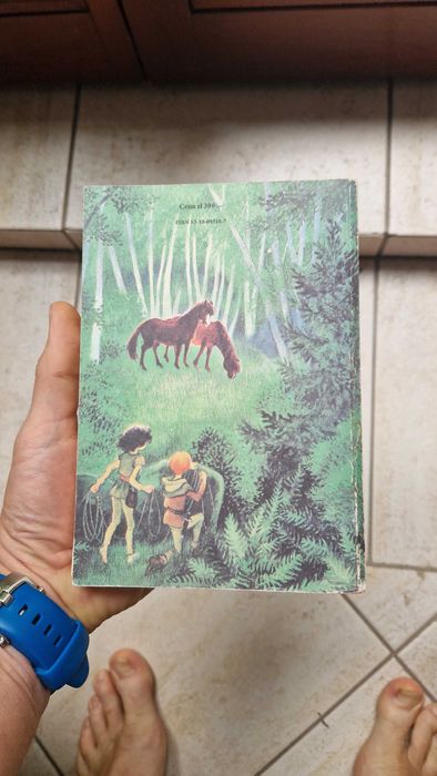 Książka Ronja córka zbójnika, Astrid Lindgren