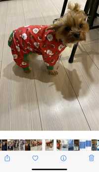 Ubranko kombinezon pidżamka dla psa