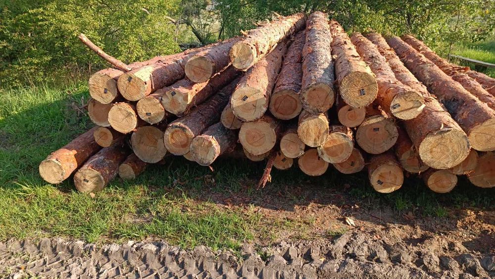 Ліс кругляк пиловочник Сосна та обрізна дошка на оборонку