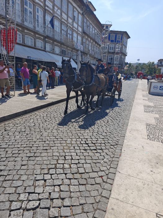 Parelha de cavalos baios
